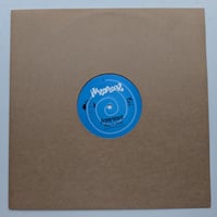 Hardfloor - Acperience