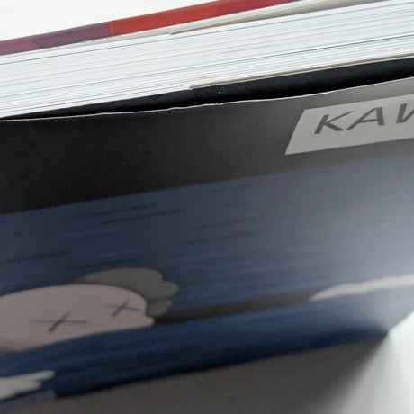 KAWS (Phaidon Contemporary Artists Series)