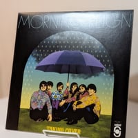 Morning Reign - Taking Cover