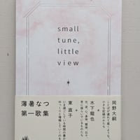 small tune, little view