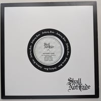 Anthony Fade - Champagne Paradise