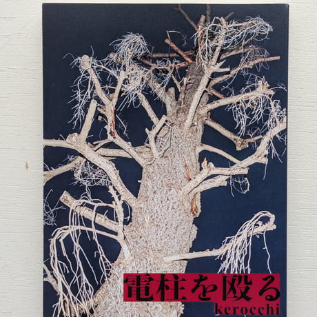 電柱を殴る