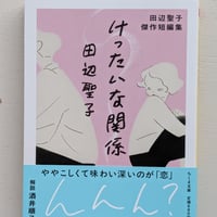 けったいな関係　田辺聖子傑作短編集