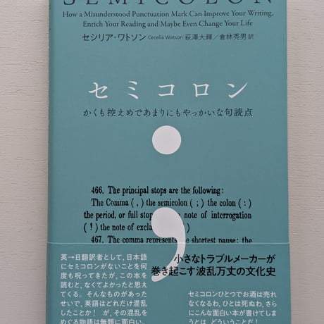 セミコロン かくも控えめであまりにもやっかいな句読点