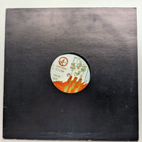BFC - Evolution