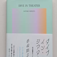 ダイブ・イン・シアター