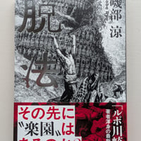 脱法