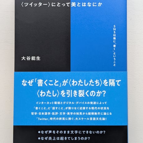 〈ツイッター〉にとって美とはなにか SNS以後に「書く」ということ