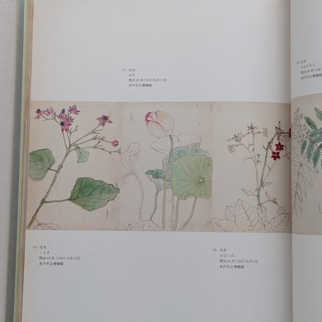 【古本】開館30周年記念特別展 渋谷ユートピア 1900-1945