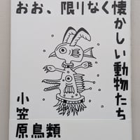おお、限りなく懐かしい動物たち