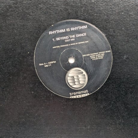 Rhythim Is Rhythim - Beyond The Dance