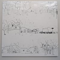 Lawrence - Yoyogi Park