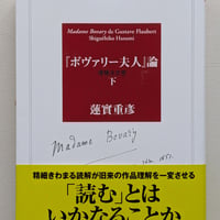 『ボヴァリー夫人』論〔増補決定版〕　下