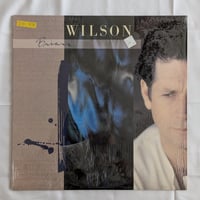 Brian Wilson - Brian Wilson
