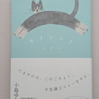 サイレントニャー