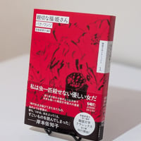 親切な福姫さん（斎藤真理子＝個人編訳　韓国文学クラシックス）
