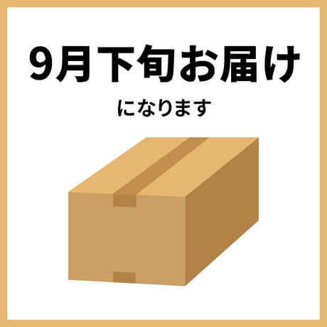 ⑩ブラックブリックソール