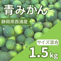 【9月中旬発送】摘果青みかん1.5kg（農薬不使用）静岡県西浦産