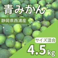 【9月中旬発送】摘果青みかん4.5kg（農薬不使用）静岡県西浦産