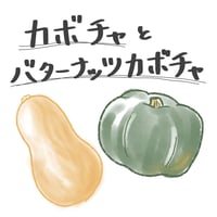 カボチャとバターナッツカボチャのセット