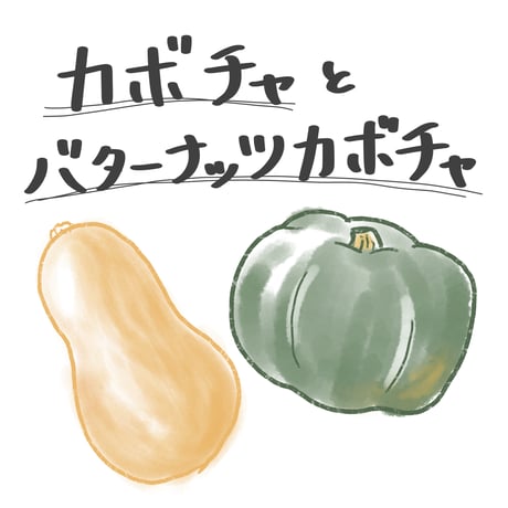 カボチャとバターナッツカボチャのセット