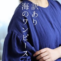 【訳あり？】海のワンピース