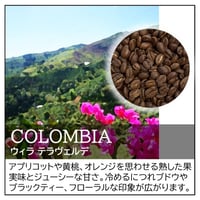 【店頭受取り用】コロンビア／ウィラ テラヴェルデ〔豆のまま・粉にする〕