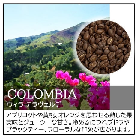 コーヒー豆販売 | STORES
