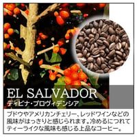 【☆店頭受取り専用】エルサルバドル／ディビナ・プロヴィデンシア〔豆のまま・粉にする〕