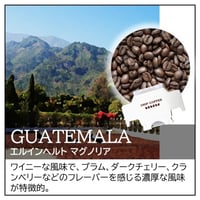 グアテマラ／エルインヘルト マグノリア〔ドリップバッグ〕12g×8袋