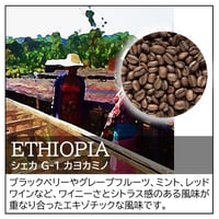 【店頭受取り用】エチオピア／シェカ G-1 カヨカミノ ナチュラル〔豆のまま・粉にする〕