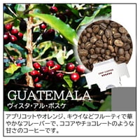 【店頭受取り用】グアテマラ／ヴィスタ・アル・ボスケ〔ドリップバッグ〕12g×8袋