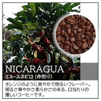 【☆店頭受取り専用】ニカラグア／エル･ススピロ〔豆のまま・粉にする〕