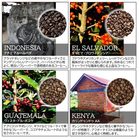 【☆店頭受取り専用】８種類のドリップバッグセット［10月］〔12g×8袋〕
