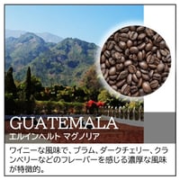 グアテマラ／エルインヘルト マグノリア〔豆のまま・粉にする〕