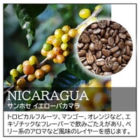 ニカラグア／サンホセ イエローパカマラ〔豆のまま・粉にする〕