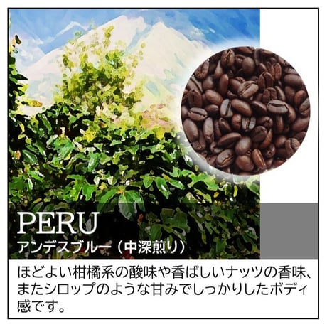 ペルー／アンデスブルー〔豆のまま・粉にする〕