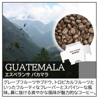 グアテマラ／エスペランサ パカマラ〔ドリップバッグ〕12g×8袋