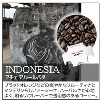 インドネシア／アチェ アルールバダ〔ドリップバッグ〕12g×8袋