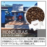 【店頭受取り用】ホンジュラス／ラス・ウバス〔ドリップバッグ〕12g×8袋