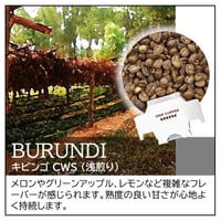 【☆店頭受取り専用】ブルンジ／キビンゴ CWS〔ドリップバッグ〕12g×8袋