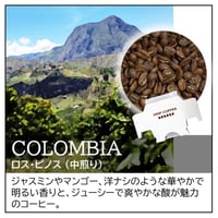 【店頭受取り用】コロンビア／ロス・ピノス〔ドリップバッグ〕12g×8袋