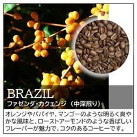 ブラジル／ファゼンダ･カクェンジ〔豆のまま・粉にする〕
