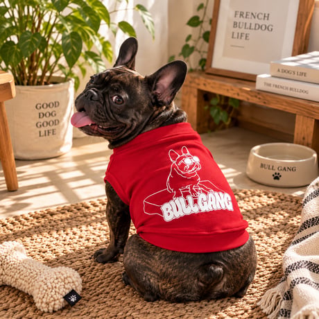 BULL GANG ORIGINAL DOG WEAR
