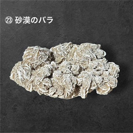 松 88800円 ♢ 東京サロン 【LIVE配信】 特別販売 ♢ 1⃣