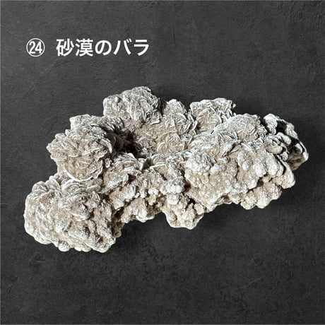 松 88800円 ♢ 東京サロン 【LIVE配信】 特別販売 ♢ 1⃣