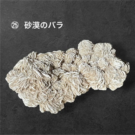 松 88800円 ♢ 東京サロン 【LIVE配信】 特別販売 ♢ 1⃣