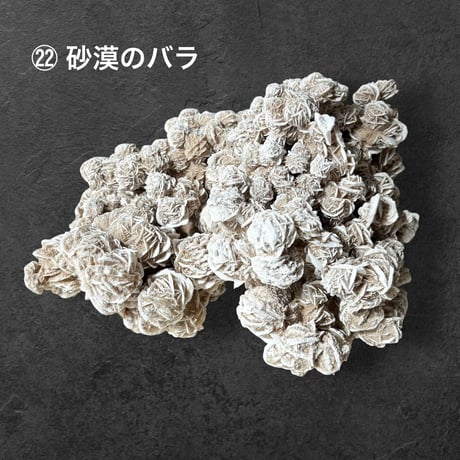 松 88800円 ♢ 東京サロン 【LIVE配信】 特別販売 ♢ 1⃣