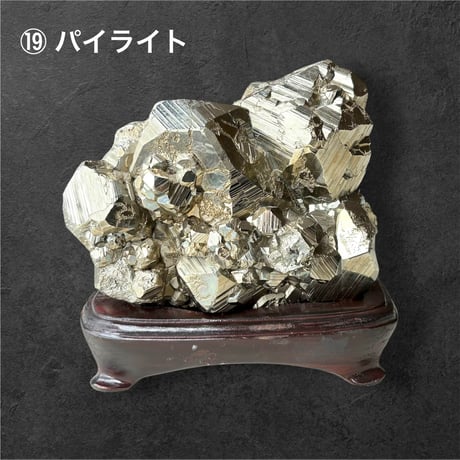 松 88800円 ♢ 東京サロン 【LIVE配信】 特別販売 ♢ 1⃣