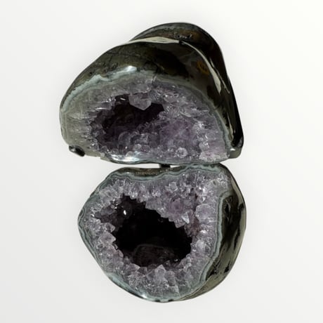 竹 38800円 ♢ 東京サロン 【 LIVE配信】 特別販売 ♢ 2⃣